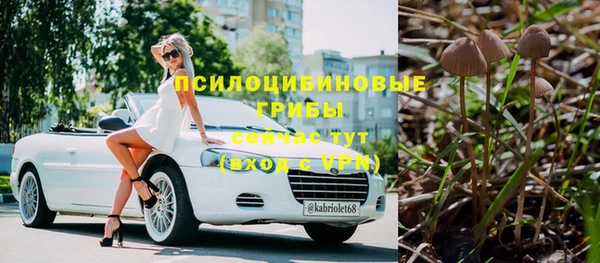 амф Балахна