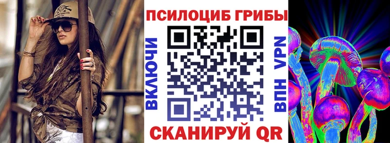 Галлюциногенные грибы Psilocybine cubensis  Чистополь 