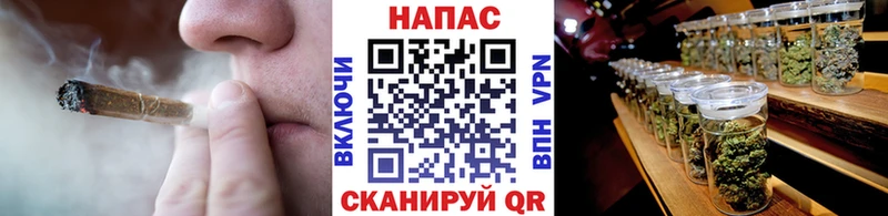 Бошки Шишки планчик Чистополь